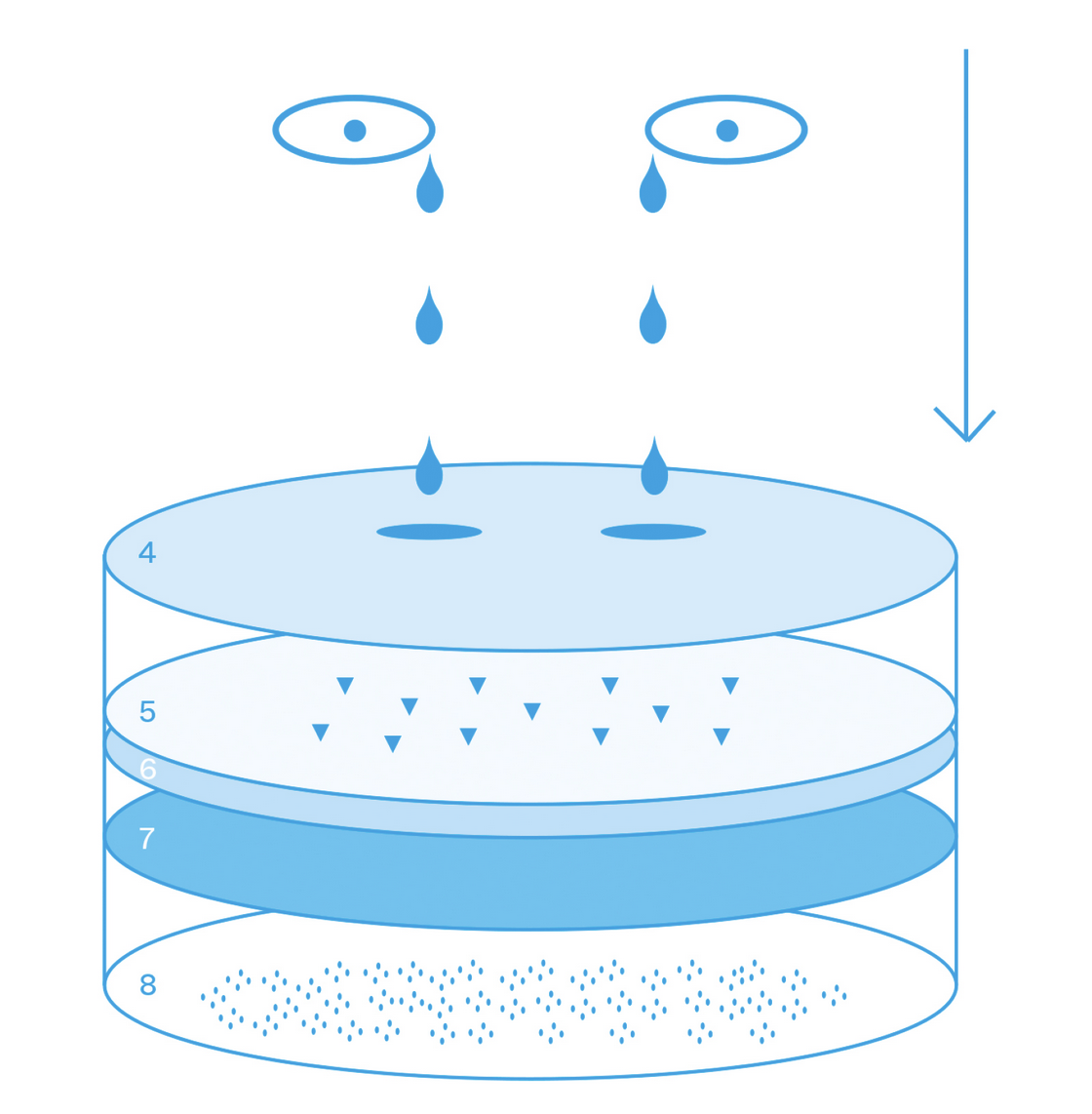 Hydrolyse Marie Vermont
