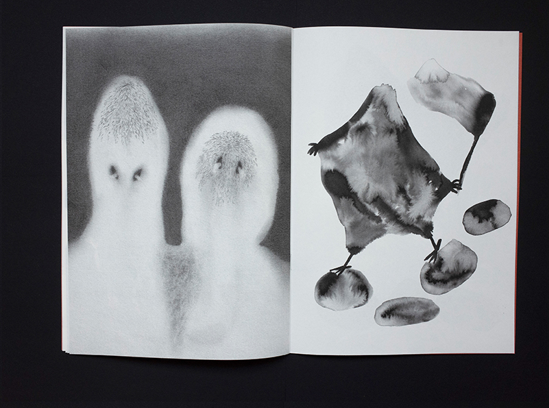 publication by Marie Vermont and Sakura Fantasma 2