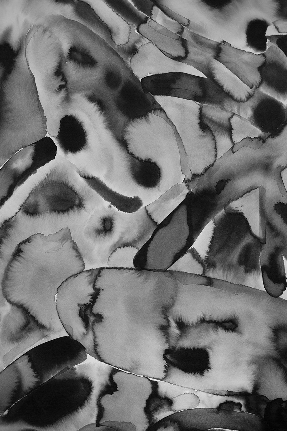 drawing by Marie Vermont